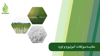 تصویر اوره و سولفات آمونیوم چه تفاوت هایی دارند؟ (مقایسه کاربردی)