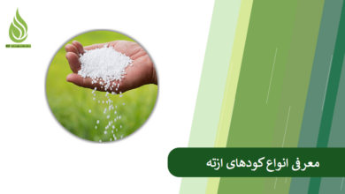 تصویر کود ازته چیست؟ انوع کود نیتروژن، کاربرد، زمان مصرف و عوارض