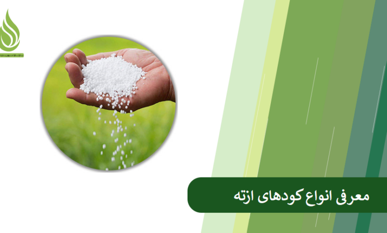 تصویر کود ازته چیست؟ انوع کود نیتروژن، کاربرد، زمان مصرف و عوارض