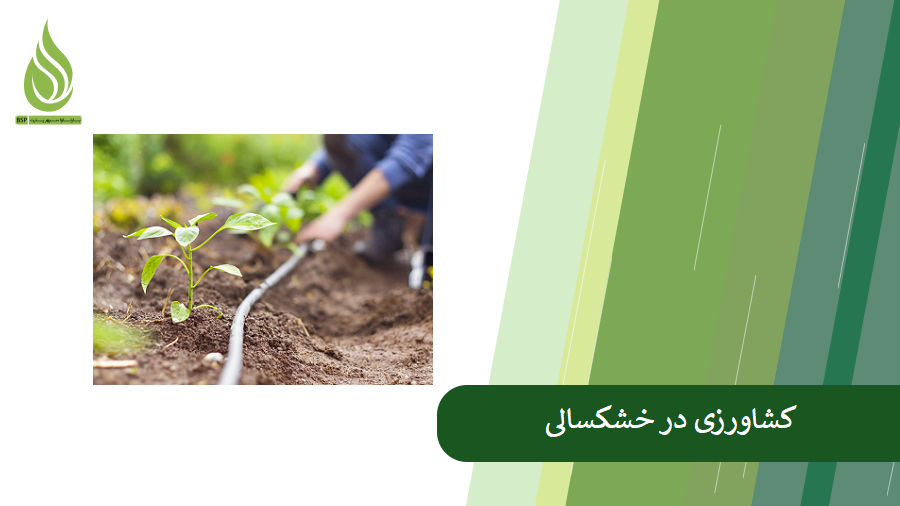 راهکارهای موثر برای کشاورزی در خشکسالی