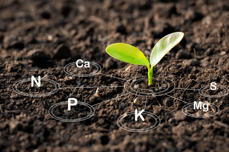آزمایش خاک به منظور تشخیص نیازهای غذایی خاک