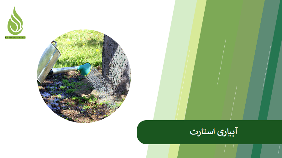 همه چیز درباره آب استارت