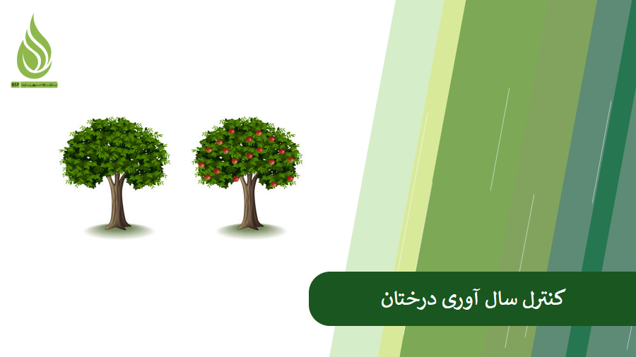 روش های جلوگیری و کنترل سال آوری درختان
