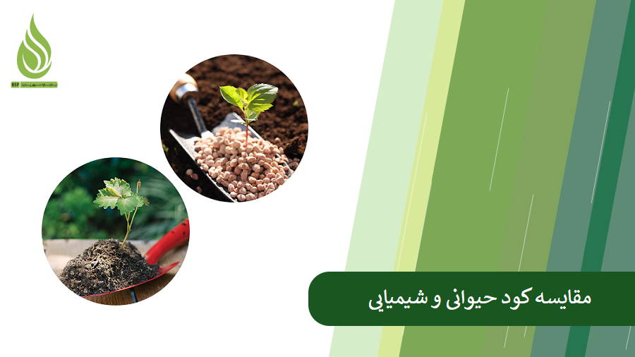 مقایسه جامع بین کود حیوانی و شیمیایی