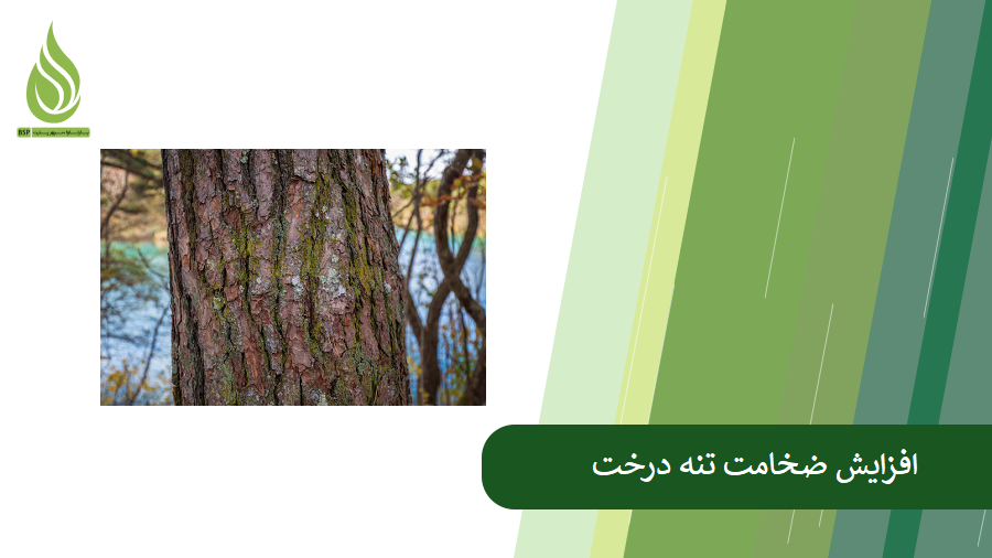 معرفی کود برای افزایش ضخامت تنه درخت