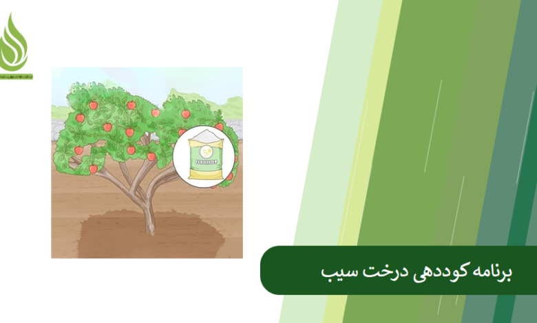 تصویر برنامه جامع تغذیه و کوددهی درخت سیب