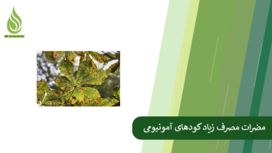 تصویر مضرات مصرف زیاد و بیش از حد سولفات آمونیوم