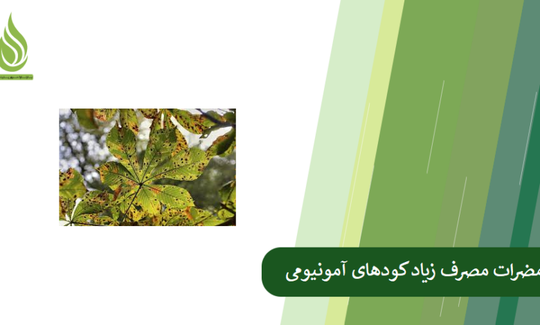 تصویر مضرات مصرف زیاد و بیش از حد سولفات آمونیوم
