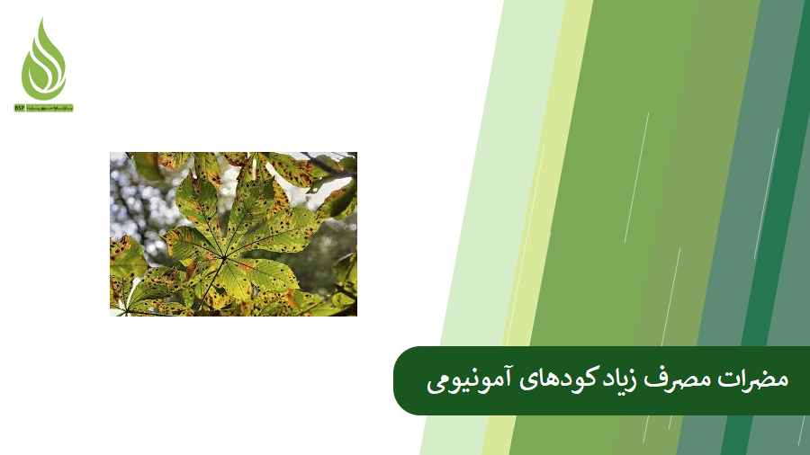 بررسی مضرات مصرف زیاد سولفات آمونیوم