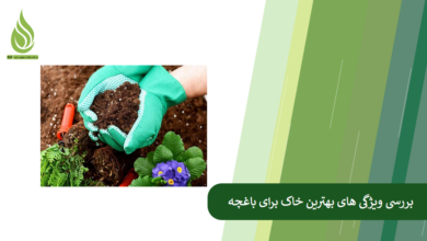 تصویر بهترین خاک باغچه چه ویژگی هایی دارد؟