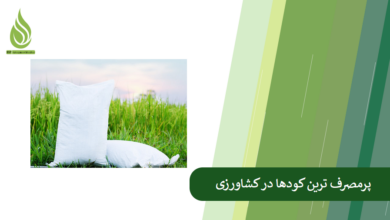 تصویر پرمصرف ترین کود ها در کشاورزی کدام موارد هستند؟