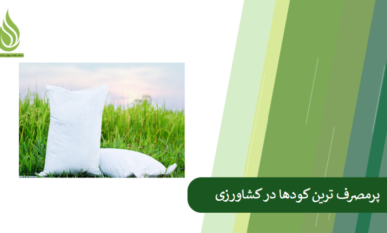 تصویر پرمصرف ترین کود ها در کشاورزی کدام موارد هستند؟