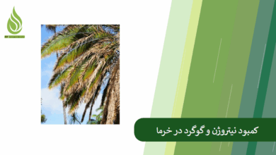 تصویر علائم کمبود گوگرد و نیتروژن در درختان خرما