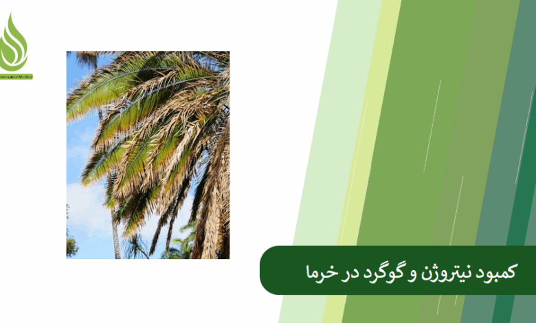 تصویر علائم کمبود گوگرد و نیتروژن در درختان خرما