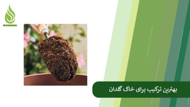 تصویر تهیه بهترین ترکیب برای خاک گلدان