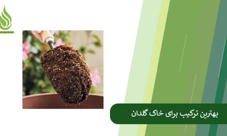 تصویر تهیه بهترین ترکیب برای خاک گلدان