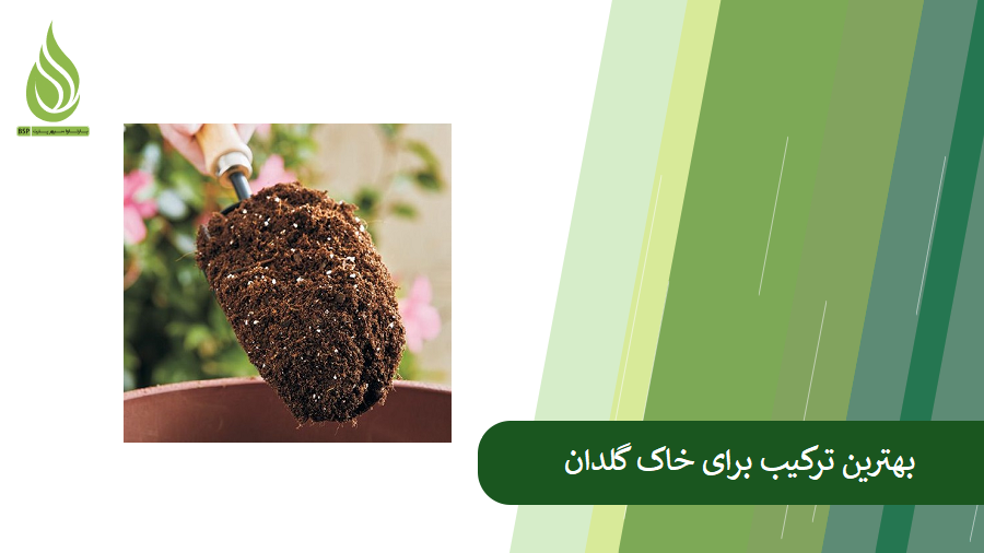 نکات کلیدی برای یافتن بهترین ترکیب خاک گلدان