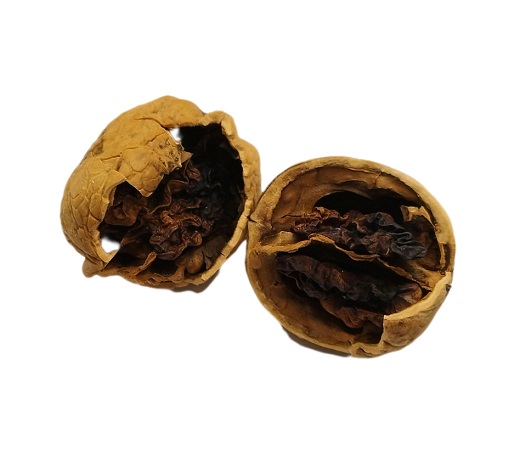 دلایل پوکی مغز گردو
