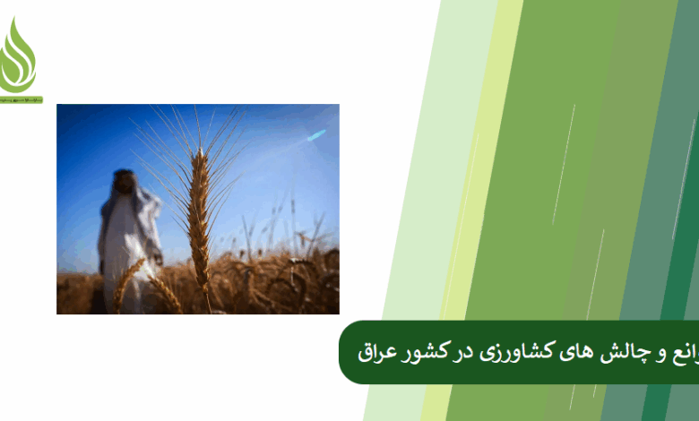 تصویر چالش های کشاورزی عراق و راه حل های آن