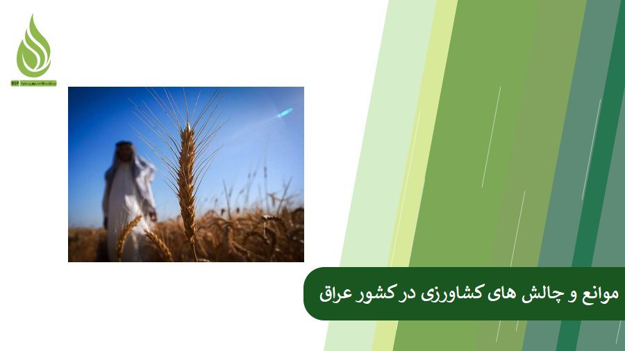 بررسی چالش های کشاورزی عراق و راه حل آنها