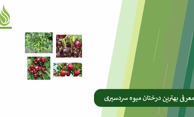 تصویر معرفی 10 درخت میوه مقاوم به سرما؛ بهترین انتخاب ها برای مناطق سردسیری ایران