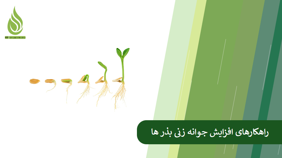 راهکارهای افزایش جوانه زنی بذر