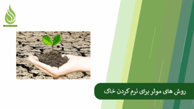 تصویر خاک سفت و کلوخه ای شده است؟ با این روش ها خاک را نرم کنید.
