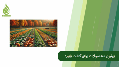 تصویر بهترین محصولات برای کشت پاییزه (در مناطق سردسیر، معتدل و گرمسیر) کدامند؟