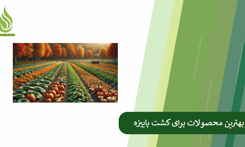 تصویر بهترین محصولات برای کشت پاییزه (در مناطق سردسیر، معتدل و گرمسیر) کدامند؟