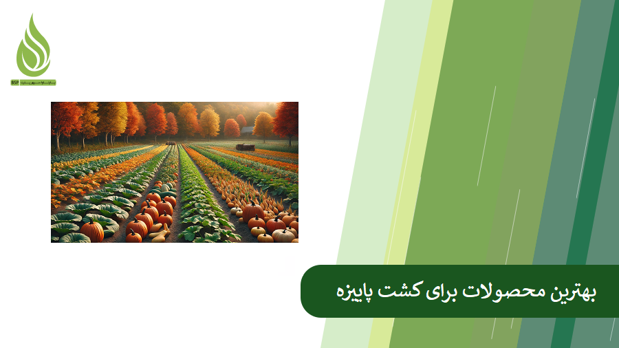 بهترین محصولات کشت پاییزه