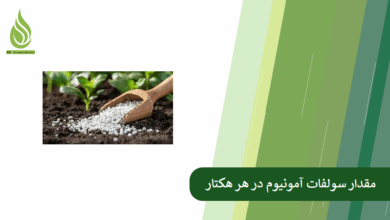 تصویر چه مقدار کود سولفات آمونیوم در هر هکتار لازم است؟