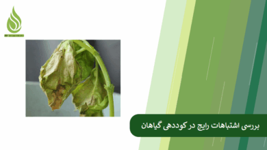 تصویر بررسی اشتباهات رایج در کوددهی که باعث کاهش عملکرد گیاهان می شوند!