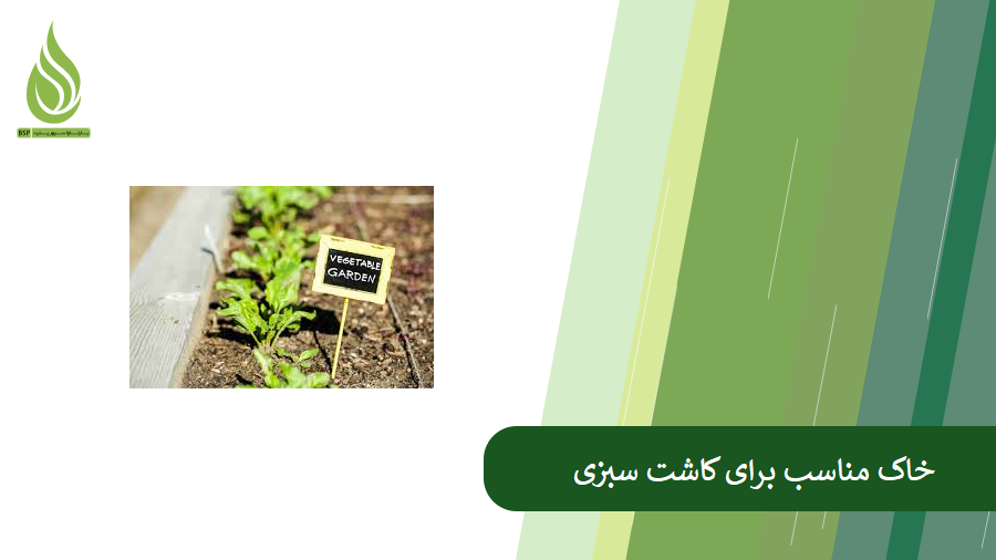 معرفی خاک مناسب برای سبزی خوردن
