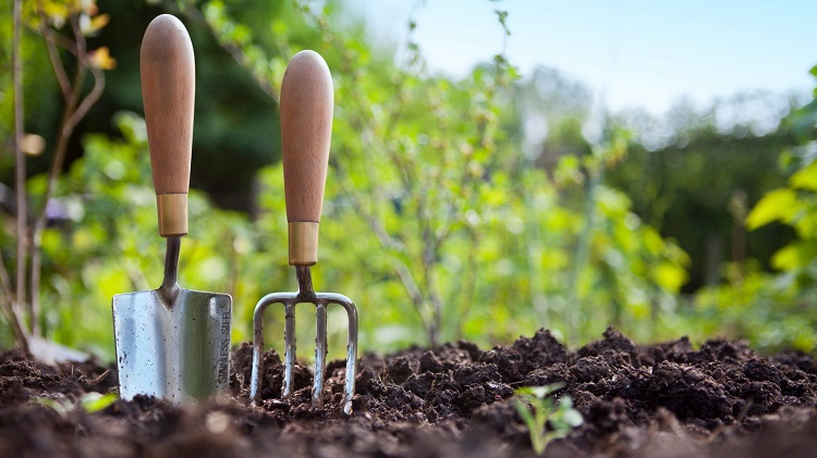 خاک مناسب برای سبزی خوردن 2