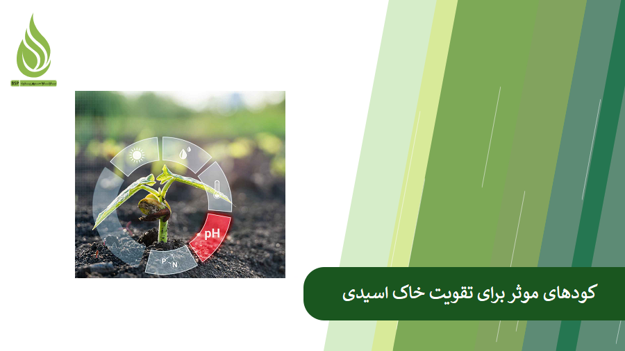 همه چیز درباره بهبود وضعیت و تقویت خاک اسیدی