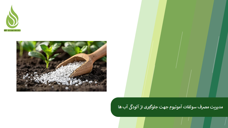 مدیریت مصرف سولفات آمونیوم برای جلوگیری از آلودگی آب های زیرزمینی