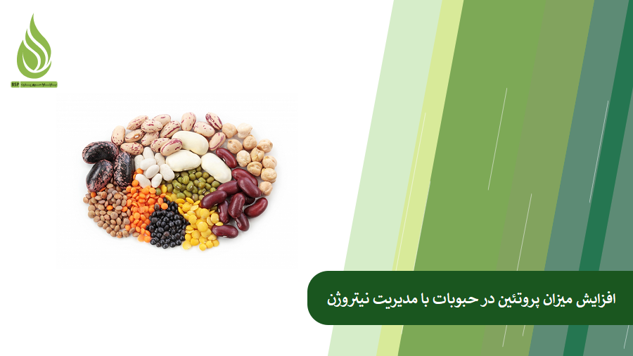 تاثیر نیتروژن بر پروتئین حبوبات