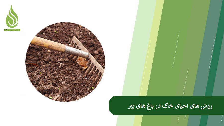 همه چیز درباره احیای خاک باغ های پیر
