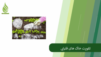 تصویر چرا خاک قلیایی می شود؟ چگونه خاک قلیایی را تقویت کنیم؟