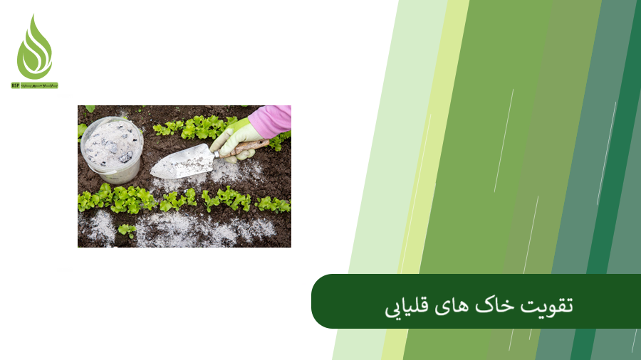 نکات مهم در تقویت خاک قلیایی