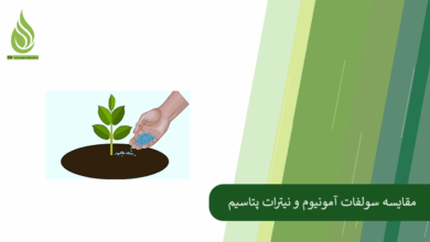 تصویر مقایسه نیترات پتاسیم و سولفات آمونیوم؛ دو کود حاوی نیتروژن با تأثیرگذاری متفاوت