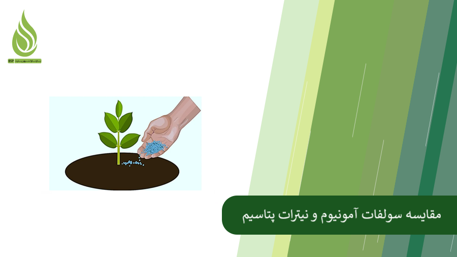 همه چیز درباره مقایسه سولفات آمونیوم و نیترات پتاسیم
