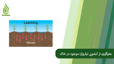 تصویر چرا کود نیتروژنه از خاک فرار می کند؟ چگونه جلوی آبشویی نیتروژن را بگیریم؟