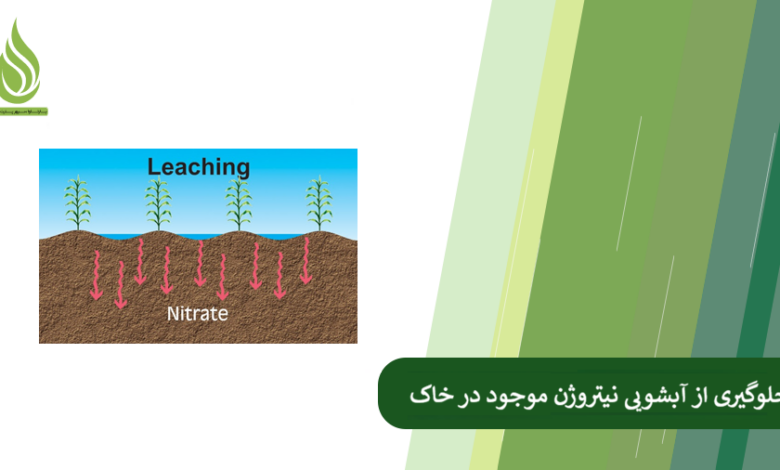 تصویر چرا کود نیتروژنه از خاک فرار می کند؟ چگونه جلوی آبشویی نیتروژن را بگیریم؟