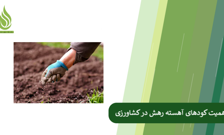 تصویر چرا کشاورزان حرفه ای از کود آهسته رهش استفاده می کنند؟