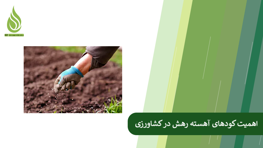 بررسی مزایای کود آهسته رهش در کشاورزی