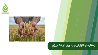 تصویر چه راه هایی برای افزایش بهره وری کشاورزی وجود دارد؟