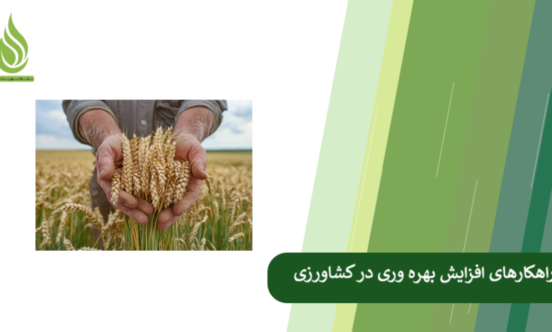 تصویر چه راه هایی برای افزایش بهره وری کشاورزی وجود دارد؟
