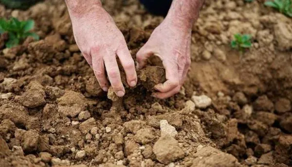 کاهش فشردگی خاک برای افزایش ظرفیت نگهداری اب در خاک 