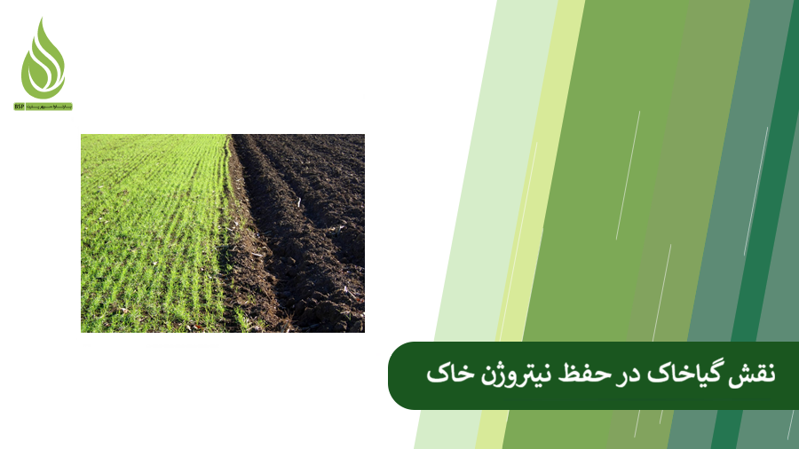 همه چیز درباره نقش گیاخاک در نگهداری نیتروژن